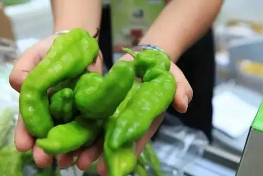 雙十一狂歡下，有機農產品能否依然“好酒不怕巷子深”？