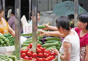 農產品打假最高獎30萬元 守護農業命脈，筑牢食品安全防線