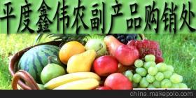 山東玉米市場價格、廠家信息與農產品代理介紹