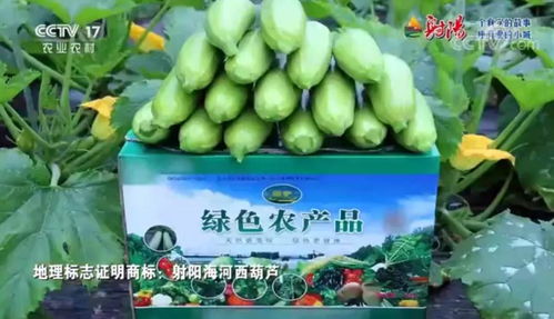 火遍全國！射陽綠色農產品宣傳片刷屏央視、江蘇衛視黃金時段